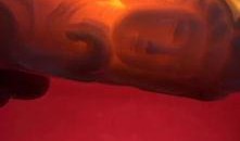 文玩大师爆料视频,珍贵藏品背后的故事与价值