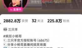 潮州爆料大宝视频播放大全,揭秘潮州风土人情与民间故事