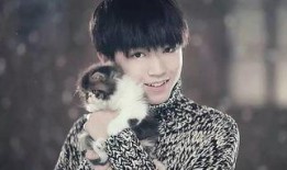 素人爆料王俊凯视频,揭秘明星私下真实生活