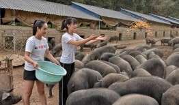 韩城吃瓜事件网红叫什么